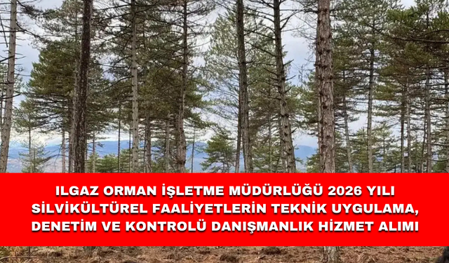 ILGAZ ORMAN İŞLETME MÜDÜRLÜĞÜ 2026 YILI SİLVİKÜLTÜREL FAALİYETLERİN TEKNİK UYGULAMA, DENETİM VE KONTROLÜ DANIŞMANLIK HİZ