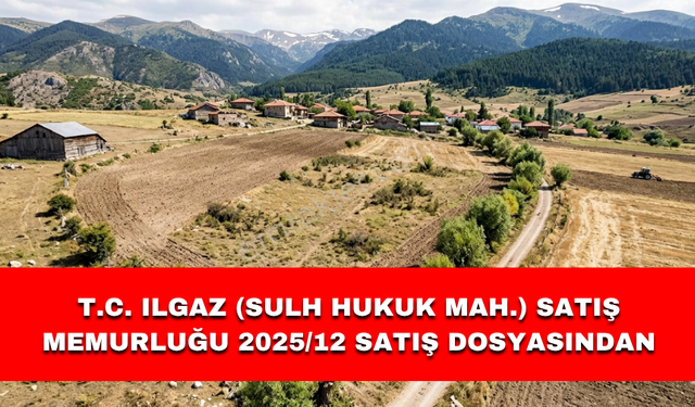 T.C. ILGAZ (SULH HUKUK MAH.) SATIŞ MEMURLUĞU 2025/12 SATIŞ DOSYASINDAN
