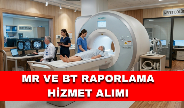 MR VE BT RAPORLAMA HİZMET ALIMI