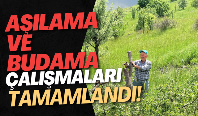 Aşılama ve Budama Çalışmaları Tamamlandı!