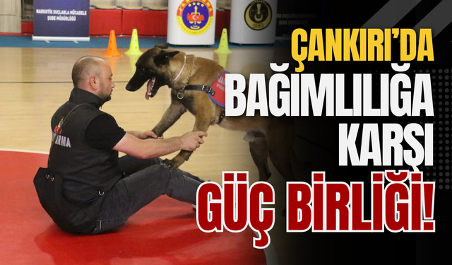 Çankırı’da Bağımlılığa Karşı Güç Birliği!