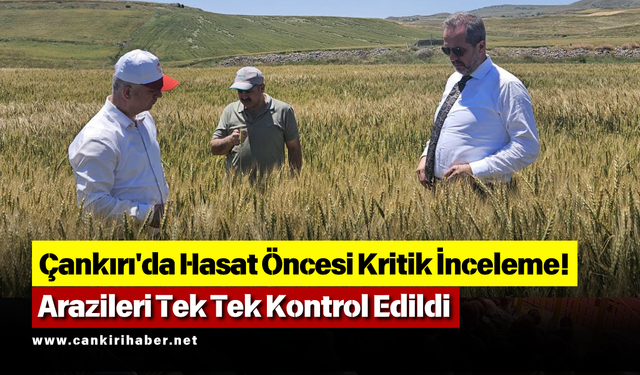 Çankırı'da Hasat Öncesi Kritik İnceleme! Tarım Arazileri Tek Tek Kontrol Edildi