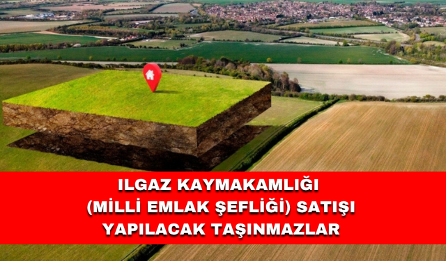 ILGAZ KAYMAKAMLIĞI (MİLLİ EMLAK ŞEFLİĞİ) SATIŞI YAPILACAK TAŞINMAZLAR