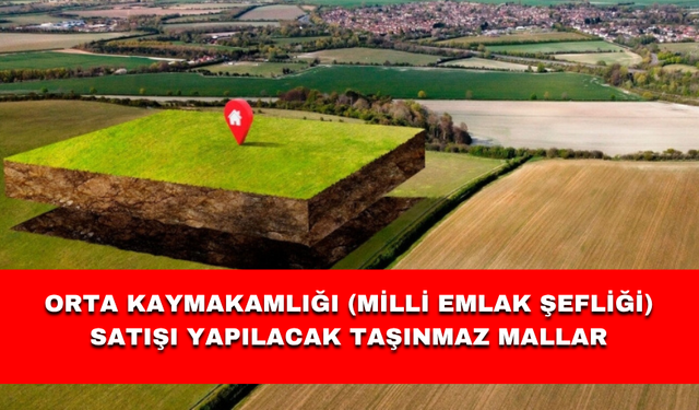 ORTA KAYMAKAMLIĞI (MİLLİ EMLAK ŞEFLİĞİ) SATIŞI YAPILACAK TAŞINMAZ MALLAR