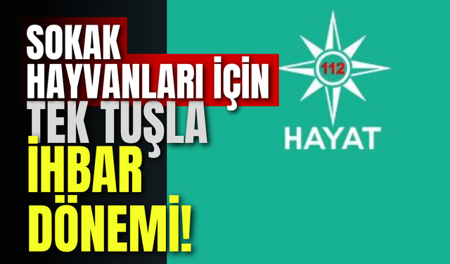 Sokak Hayvanları İçin Tek Tuşla İhbar Dönemi!