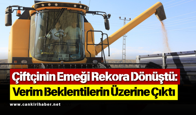 Çiftçinin Emeği Rekora Dönüştü: Verim Beklentilerin Üzerine Çıktı