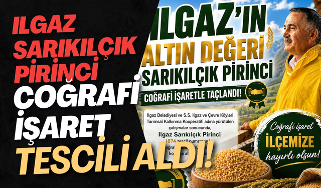 Ilgaz Sarıkılçık Pirinci Coğrafi İşaret Tescili Aldı!