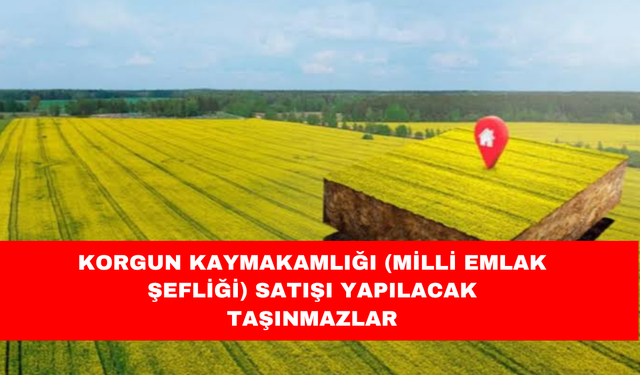 KORGUN KAYMAKAMLIĞI (MİLLİ EMLAK ŞEFLİĞİ) SATIŞI YAPILACAK TAŞINMAZLAR
