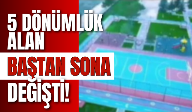 5 Dönümlük Alan Baştan Sona Değişti!