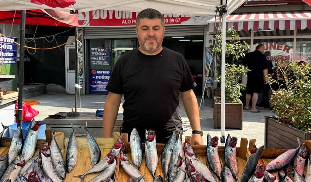 Balıkçıdan Müjde “Bu Sene Deniz Fışkıracak, Balık Fışkıracak”