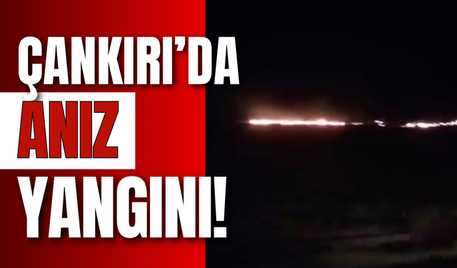 Çankırı’da Anız Yangını!