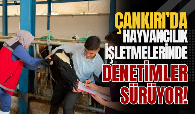 Çankırı’da Hayvancılık İşletmelerinde Denetimler Sürüyor!