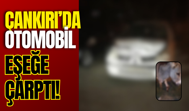Çankırı’da Otomobil Eşeğe Çarptı!