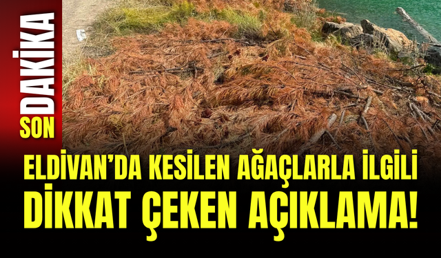 Eldivan’da Kesilen Ağaçlarla İlgili Dikkat Çeken Açıklama!