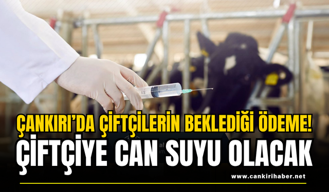 Çankırı’da Çiftçilerin Beklediği Ödeme! Çiftçiye Can Suyu Olacak