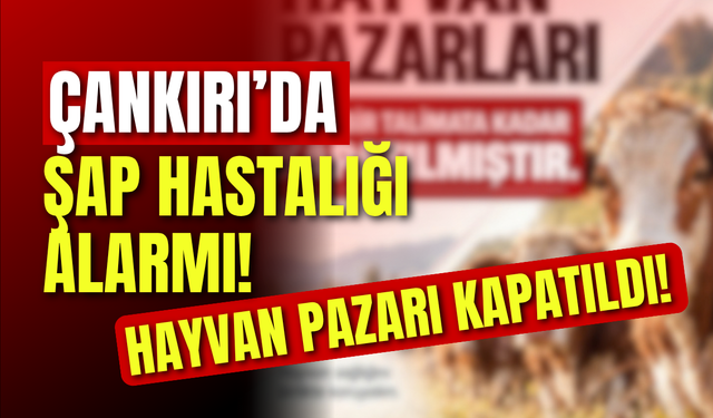 Çankırı’da Şap Hastalığı Alarmı! Hayvan Pazarı Kapatıldı