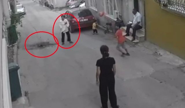 Hayvan Sesleri Mahalleliyi Sokağa Döktü