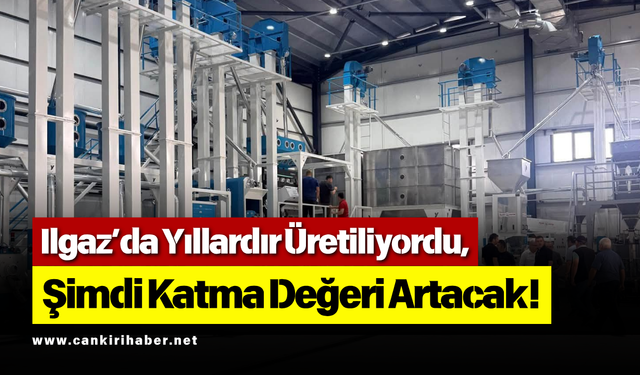 Ilgaz’da Yıllardır Üretiliyordu, Şimdi Katma Değeri Artacak!