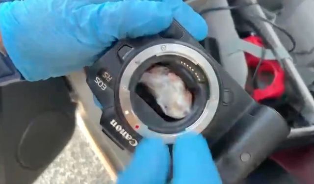 Fotoğraf Makinesinden Çıktı! Polis Gözlerine İnanamadı!