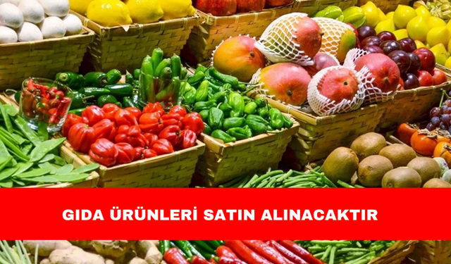 GIDA ÜRÜNLERİ SATIN ALINACAKTIR