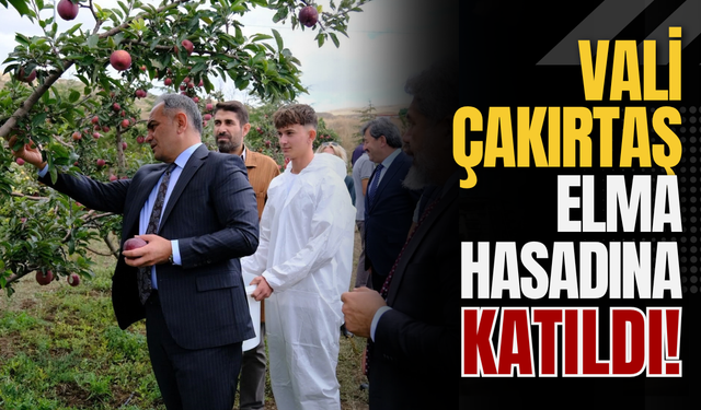 Vali Çakırtaş Elma Hasadına Katıldı!