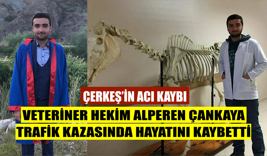 Çerkeş'in acı kaybı: Veteriner Hekim Alperen Çankaya trafik kazasında hayatını kaybetti