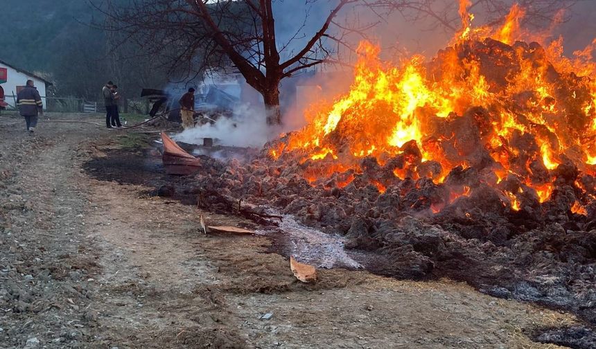 Akgüney Köyü’nde yangın: 21 büyükbaş hayvan can verdi