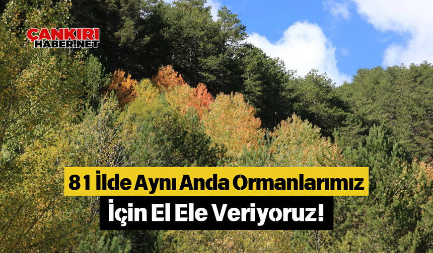 81 İlde Aynı Anda Ormanlarımız İçin El Ele Veriyoruz!