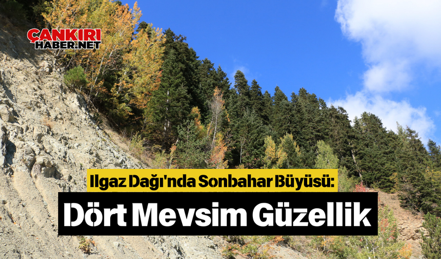 Ilgaz Dağı'nda Sonbahar Büyüsü: Dört Mevsim Güzellik