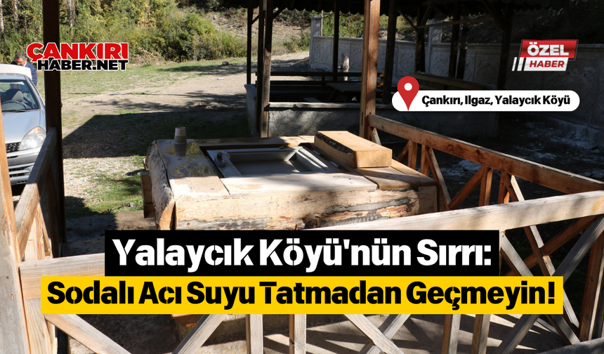 Yalaycık Köyü'nün Sırrı: Sodalı Acı Suyu Tatmadan Geçmeyin!