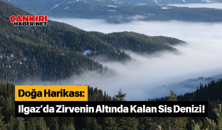 Doğa Harikası: Ilgaz’da Zirvenin Altında Kalan Sis Denizi!