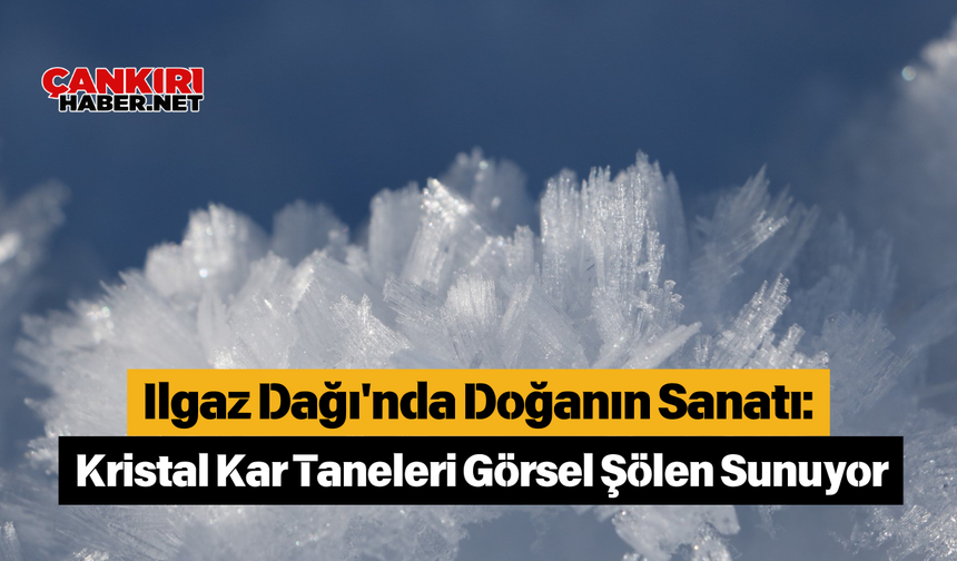 Ilgaz Dağı'nda Doğanın Sanatı: Kristal Kar Taneleri Görsel Şölen Sunuyor