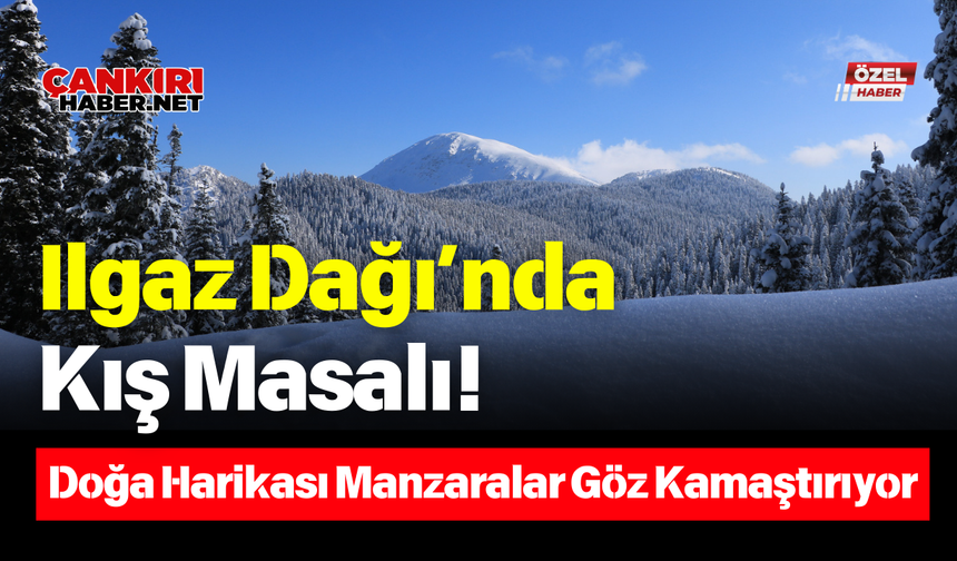 Ilgaz Dağı’nda Kış Masalı! Doğa Harikası Manzaralar Göz Kamaştırıyor