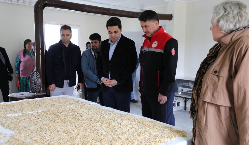 Frig Vadisi’nde ‘Lavanta Cenneti’ ve Kadın Girişimciliğiyle Ekolojik Yaşam Başlıyor