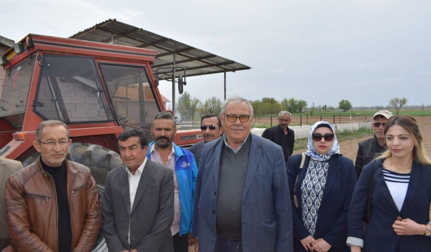 Kenevir Ekimi Hız Kazandı! 2025'te 50 Bin Dönüme Ulaşılacak