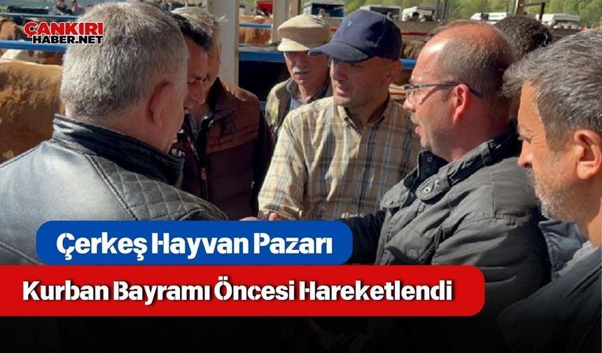 Çerkeş Hayvan Pazarı Kurban Bayramı Öncesi Hareketlendi