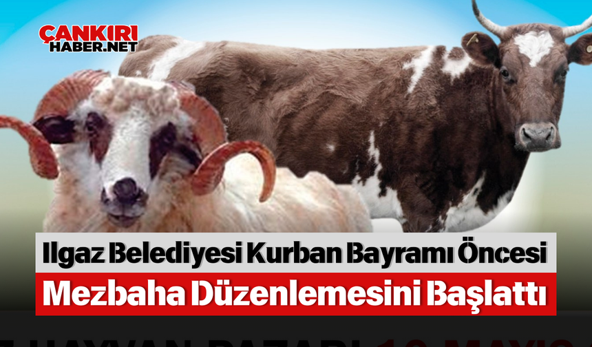 Ilgaz Belediyesi Kurban Bayramı Öncesi Mezbaha Düzenlemesini Başlattı