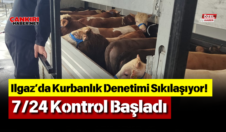 Ilgaz’da Kurbanlık Denetimi Sıkılaşıyor! 7/24 Kontrol Başladı