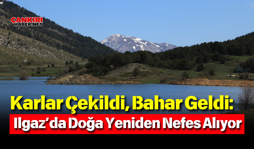 Karlar Çekildi, Bahar Geldi: Ilgaz’da Doğa Yeniden Nefes Alıyor