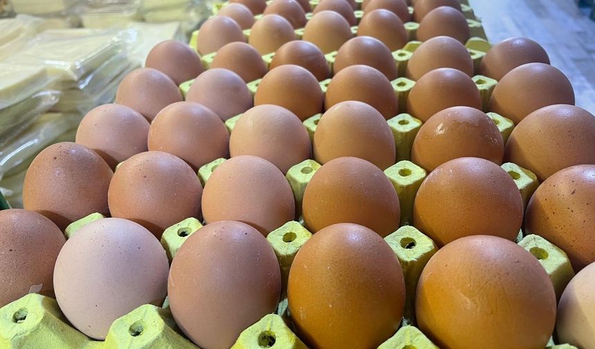 Yumurta Sanayide Şaşırtıyor! Kabuğu Bile Biyoplastik ve Boyada Kullanılıyor