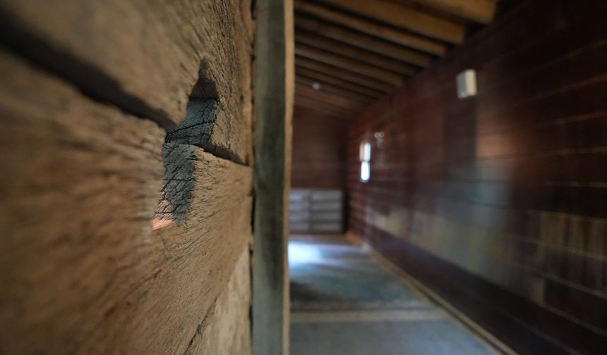 710 Yıllık Mucize Kocaeli’de Çivisiz Yapılan Işıklı Cami Hâlâ Ayakta!