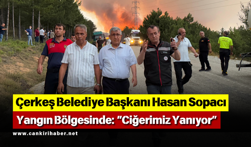 Çerkeş Belediye Başkanı Hasan Sopacı Yangın Bölgesinde: “Ciğerimiz Yanıyor”