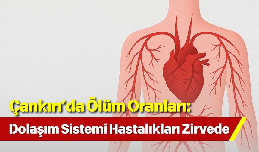 Çankırı’da Ölüm Oranları: Dolaşım Sistemi Hastalıkları Zirvede