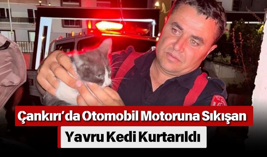 Çankırı’da Otomobil Motoruna Sıkışan Yavru Kedi Kurtarıldı