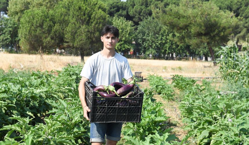 Osmangazi’de Tarım İlacı Kullanmadan 130 Çeşit Yerel Tohumla Organik Üretim Başladı