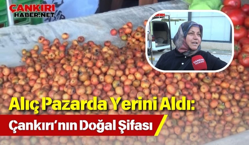 Alıç Pazarda Yerini Aldı: Çankırı’nın Doğal Şifası