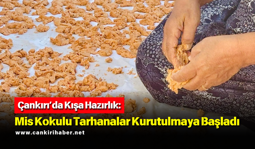 Çankırı’da Kışa Hazırlık: Mis Kokulu Tarhanalar Kurutulmaya Başladı