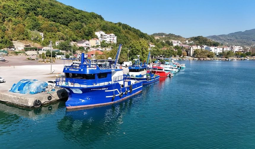 Kastamonu’da İnek Kuyuda Mahsur Kaldı! Dakikalar Süren Operasyon Sonunda Çıkarıldı
