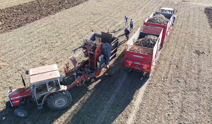 6 Aylık Emek Toprağın Altından Çıktı!