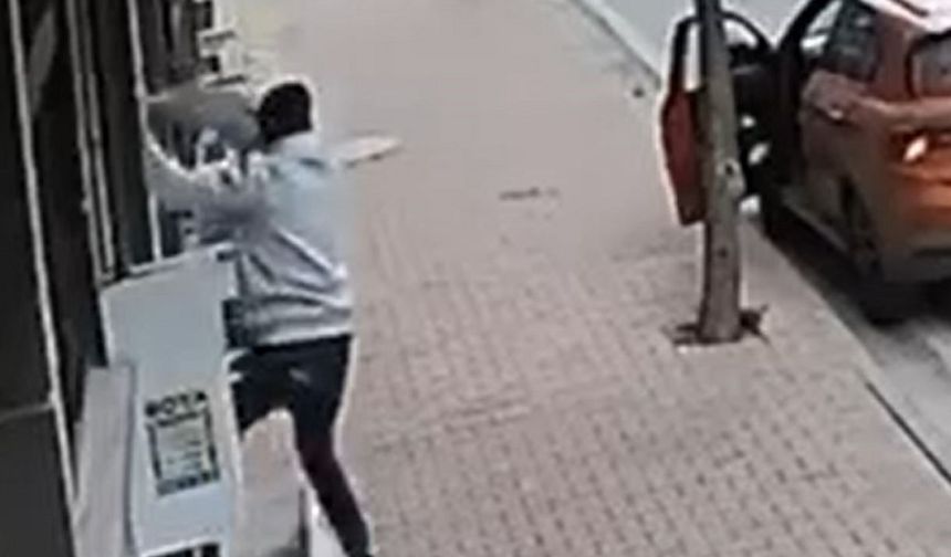 Balkondaki Cins Kedi Böyle Çalındı!